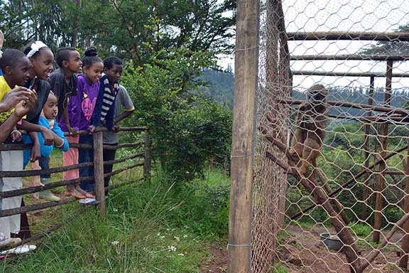 Hope For Korah Field Trip Image